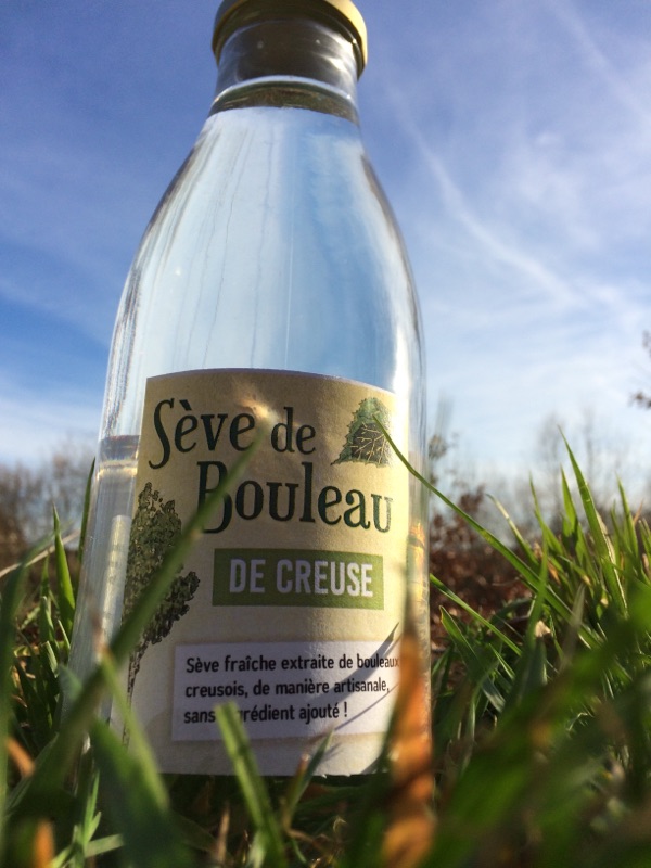 Conditionnée dans des bouteilles en verre, la sève de bouleau est à boire fraîche, pour profiter de ses nombreuses vertus !