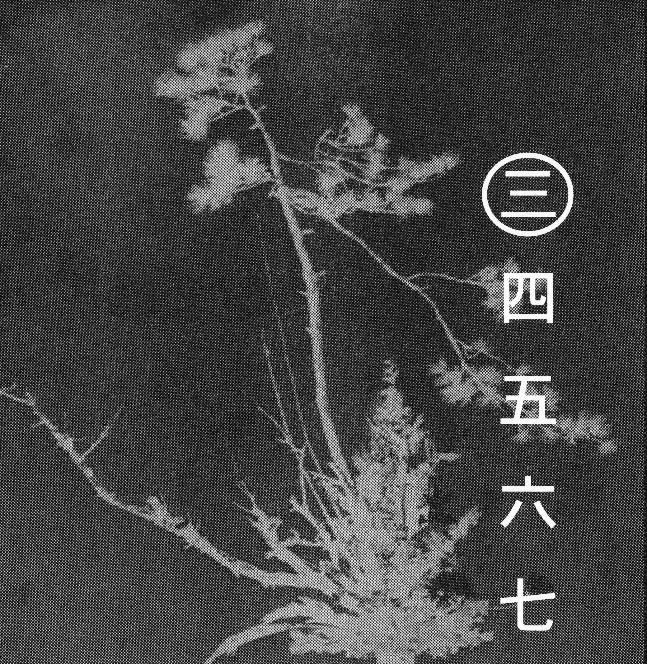 Ikebana_Cuinet_Morgan.jpg