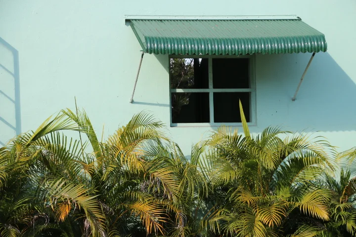 10 IMG_0887 copy.JPG