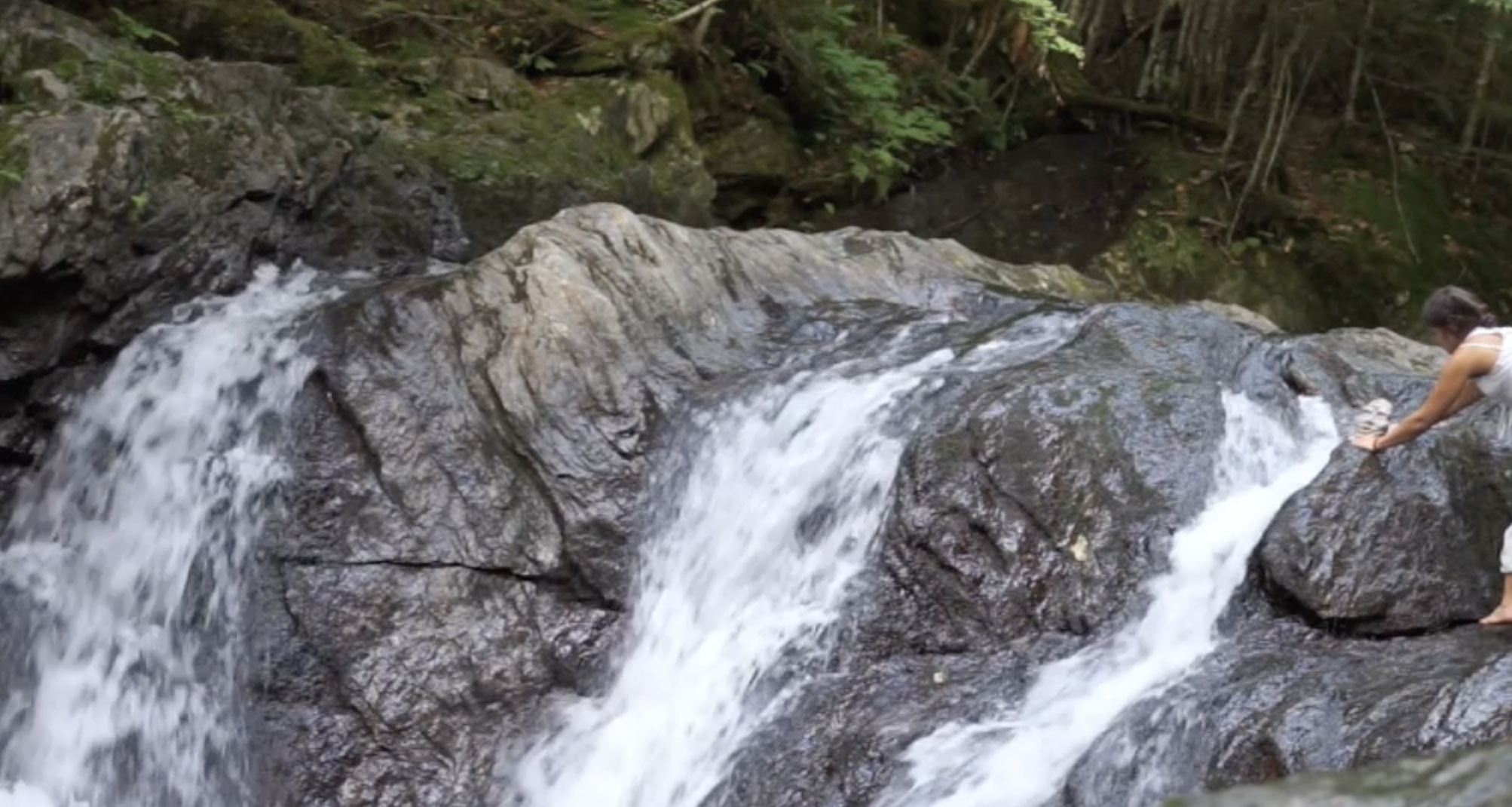 Screen Shot 2020-05-23 at 1.46.46 PM.png