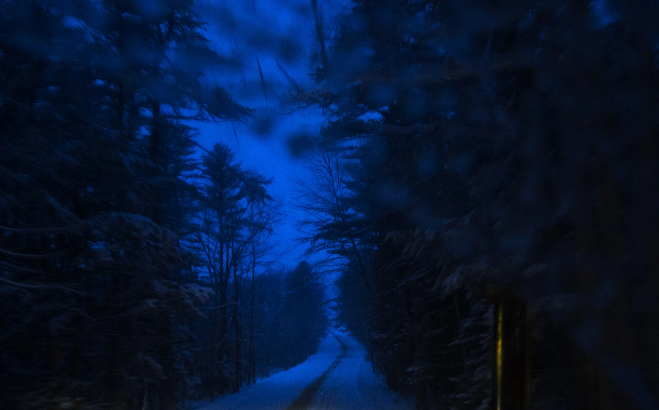 Winter storm. Buxton, Maine.
