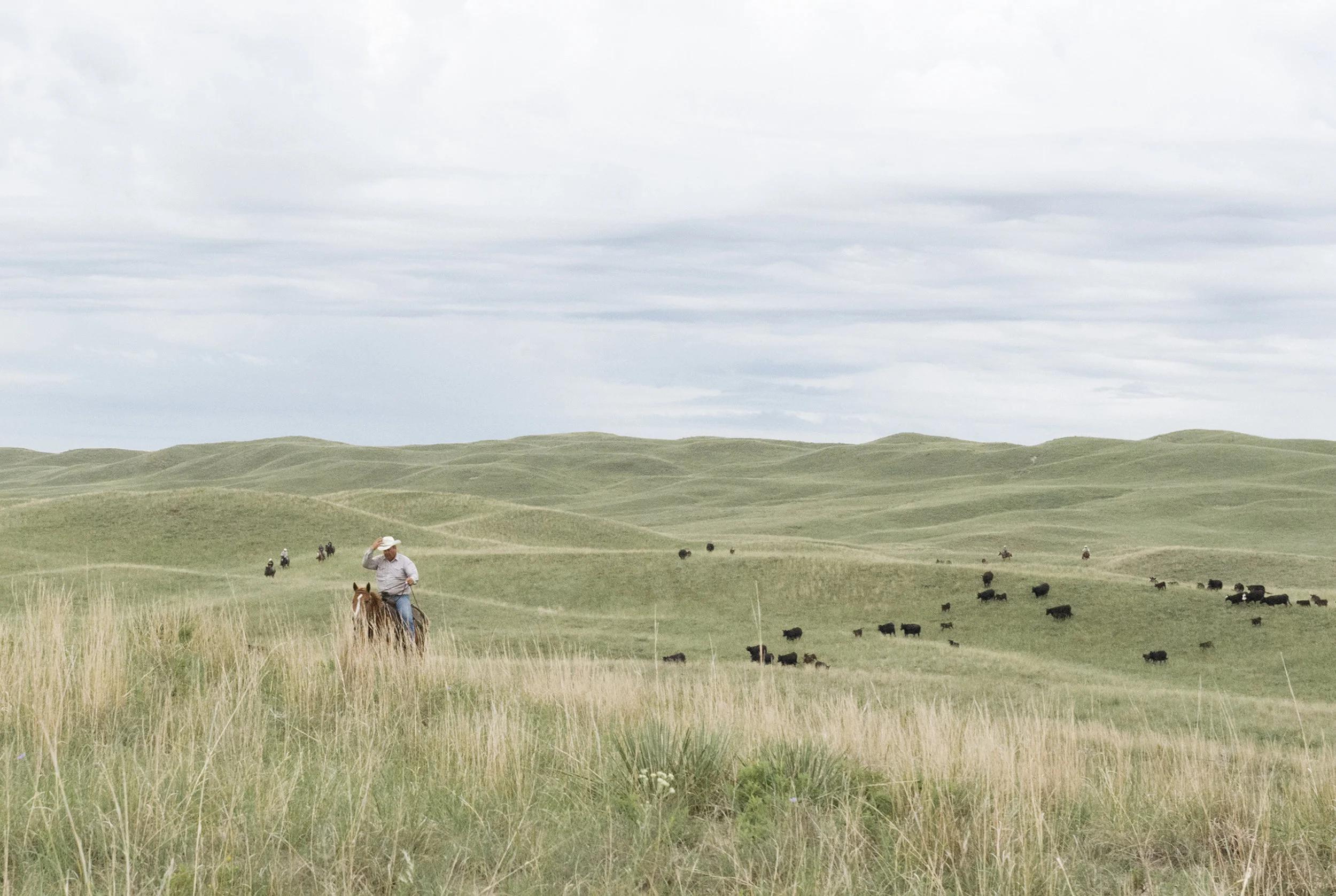 Snippets from a summer spent in the Sandhills between the small town of Valentine in Cherry County, Nebraska and the Rosebud Reservation in neighboring South Dakota. Higgins Ranch. Cherry County, Nebraska.