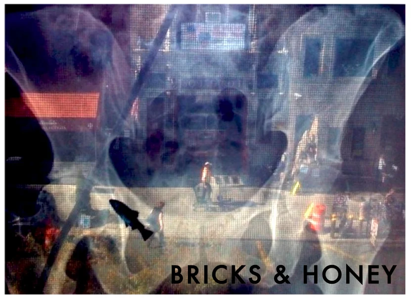 Bricks and Honey
