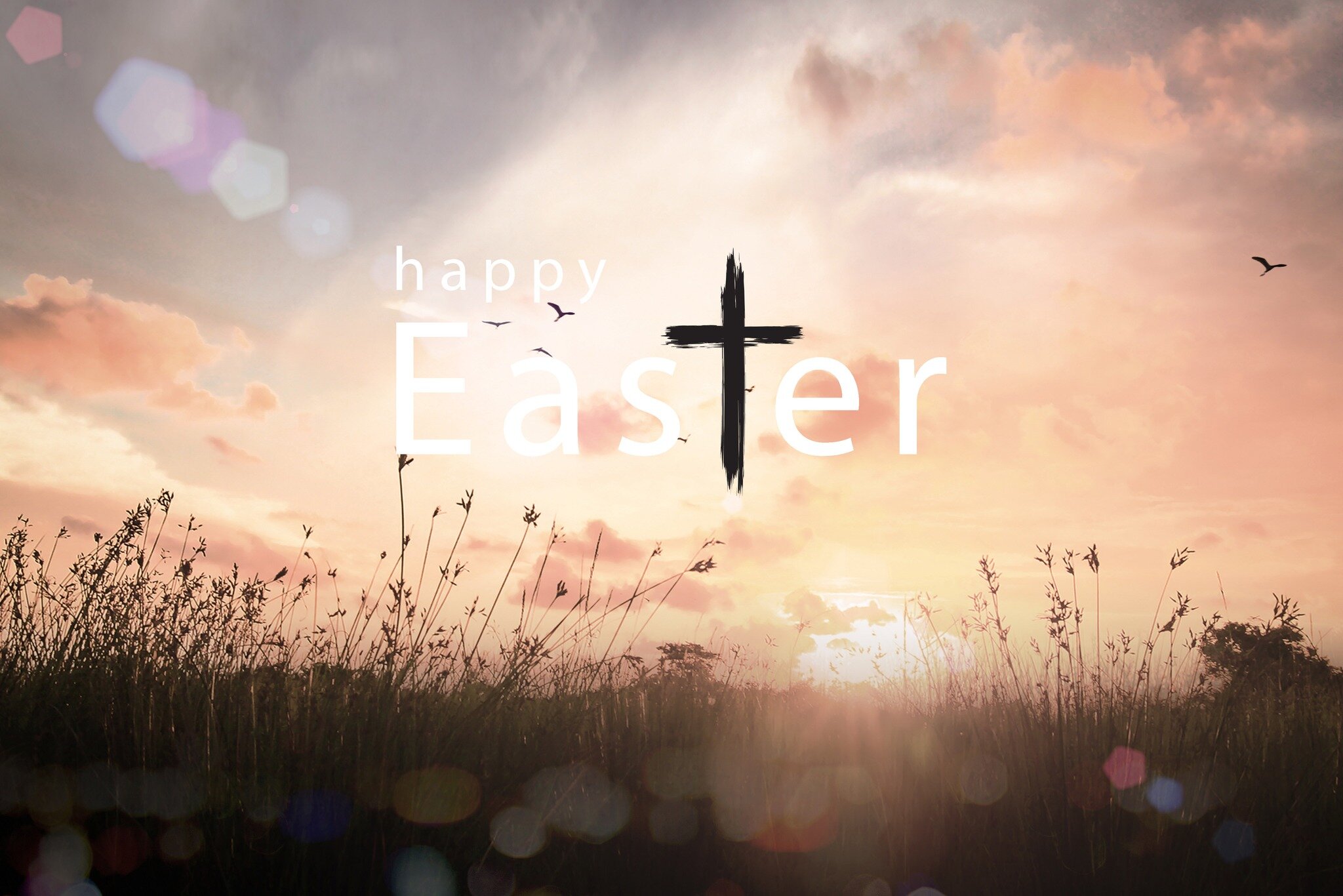 Wishing you a Blessed Easter! 

Therefore, if anyone is in Christ, he is a new creation. The old has passed away; behold, the new has come. 2 Corinthians 5:17
