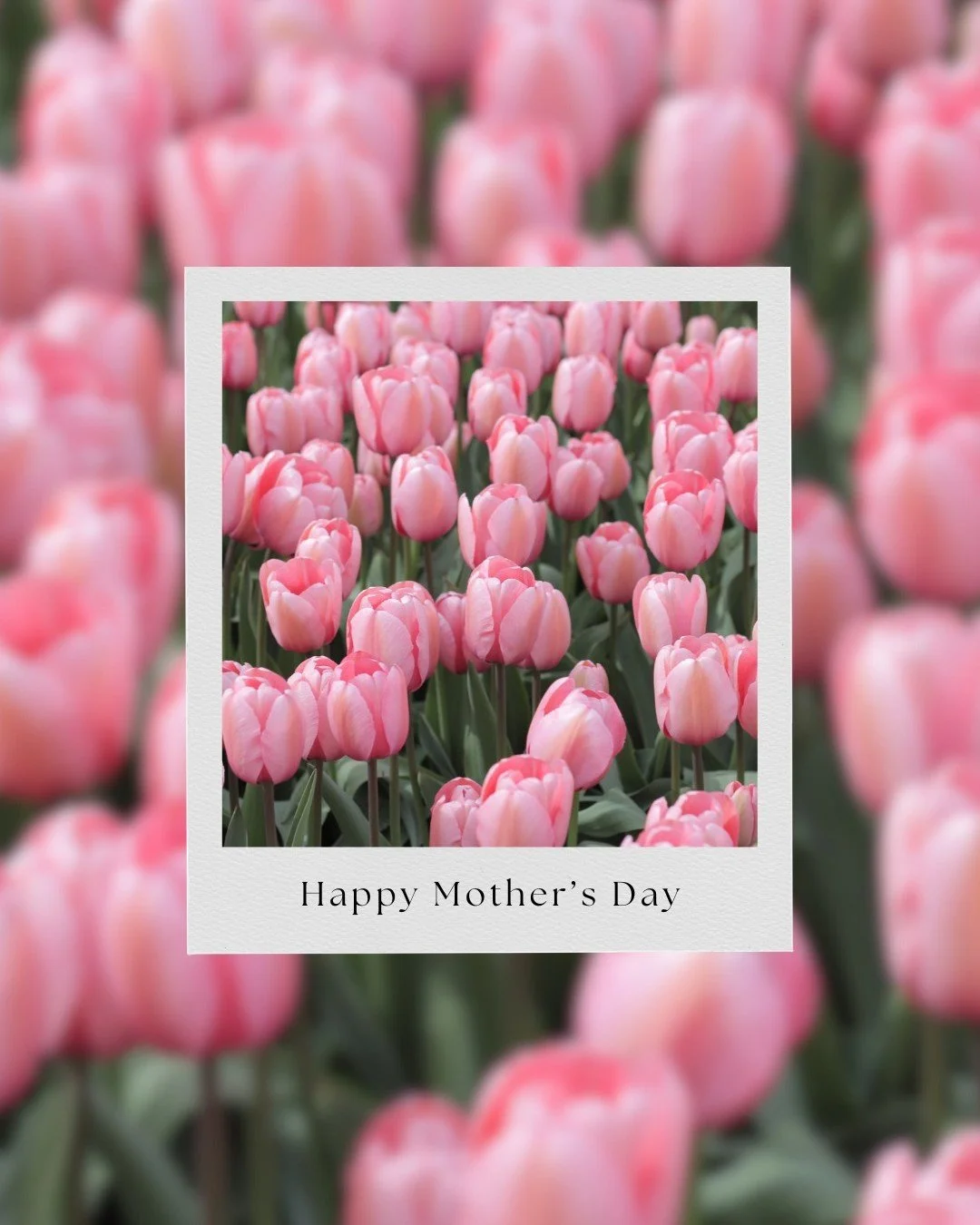 Today, we honor all the incredible mothers and gently hold space for those who are missing someone, remembering, or longing.

Happy Mother's Day!