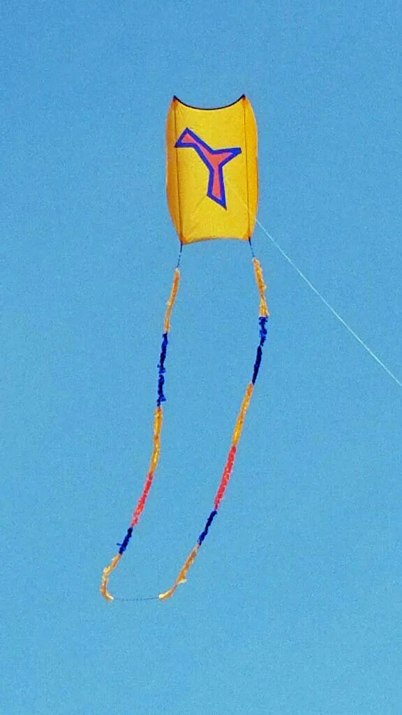 Traboulssi sled.jpg