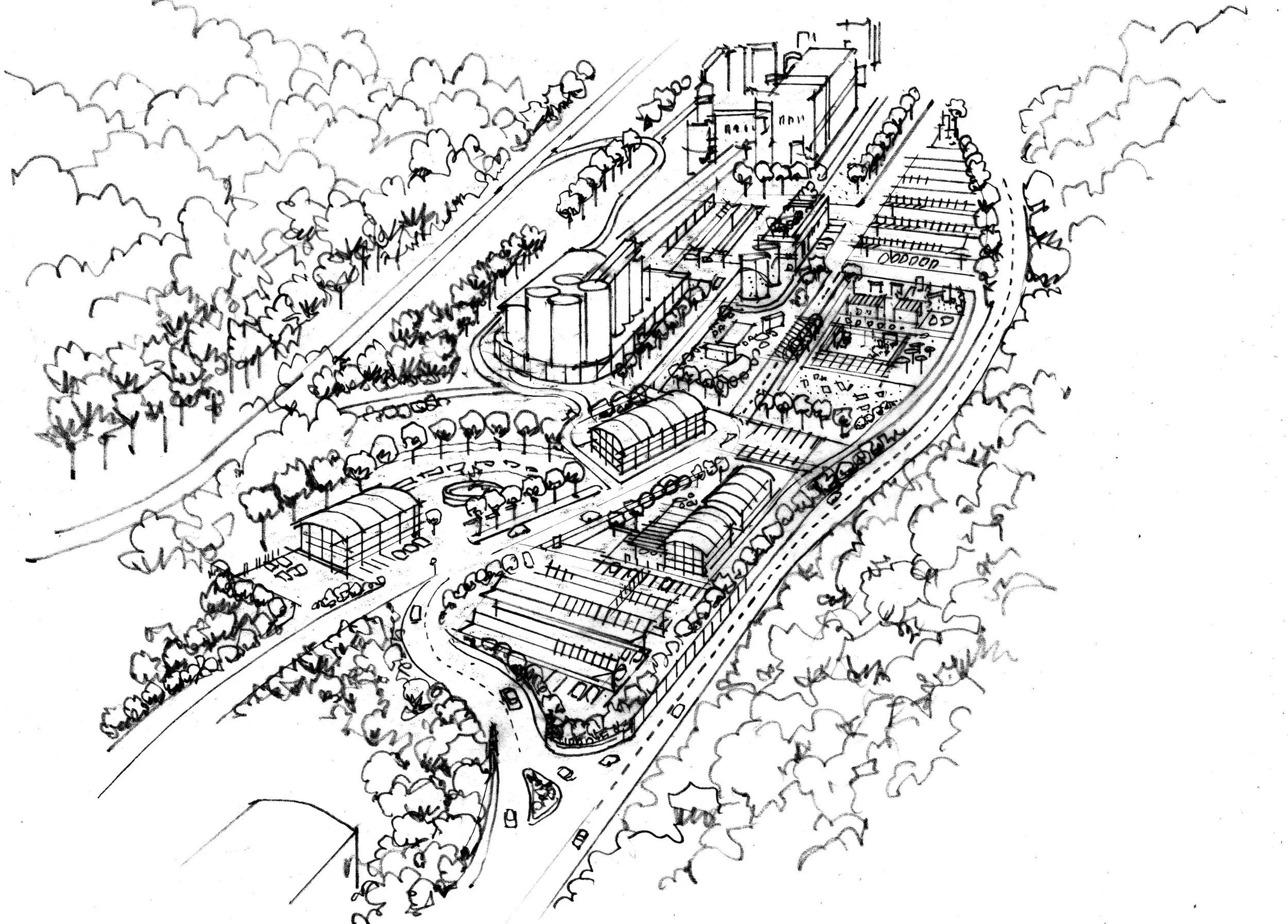2.Eos Tuscany.jpg