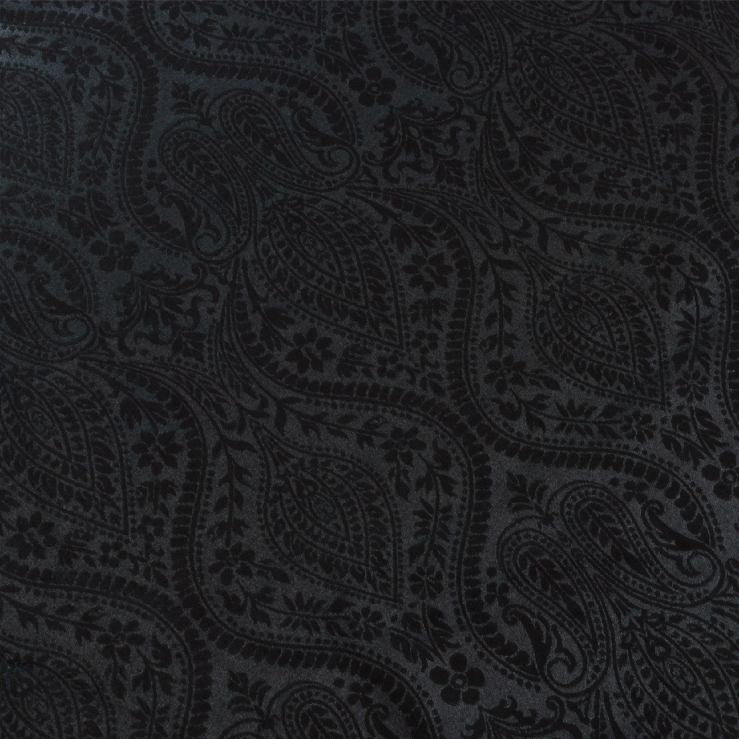 Black Waters