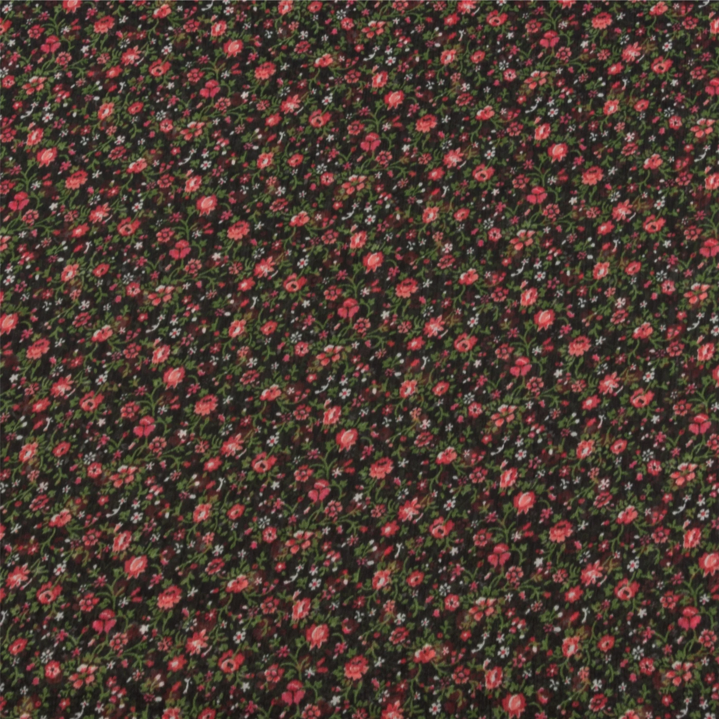 Field of Roses
