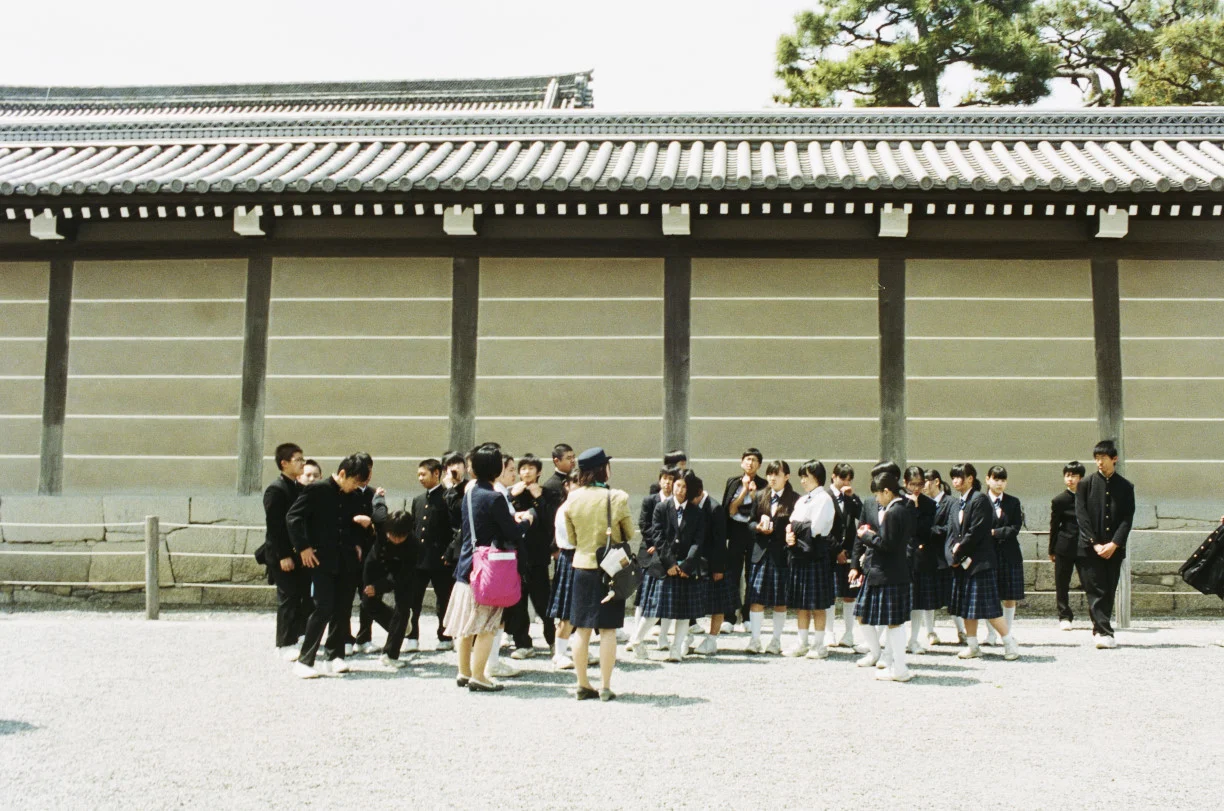 SAKURA 220.jpg