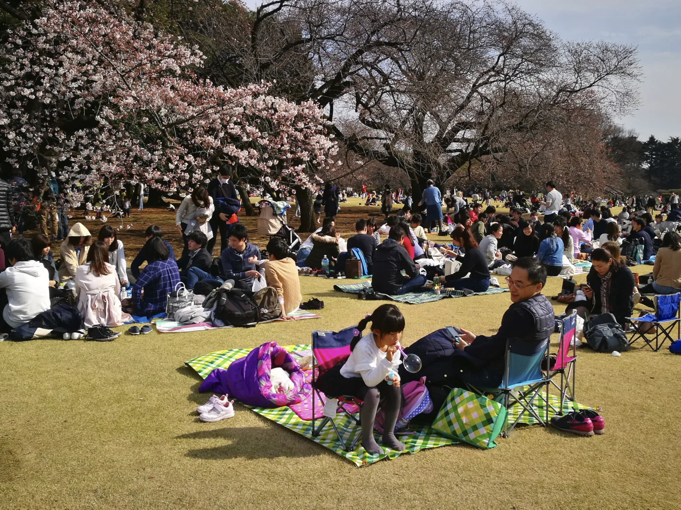 2017-04-02 14.44.46.jpg