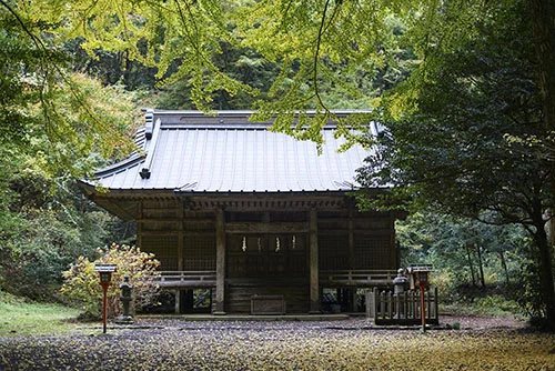 TOK_2595.jpg