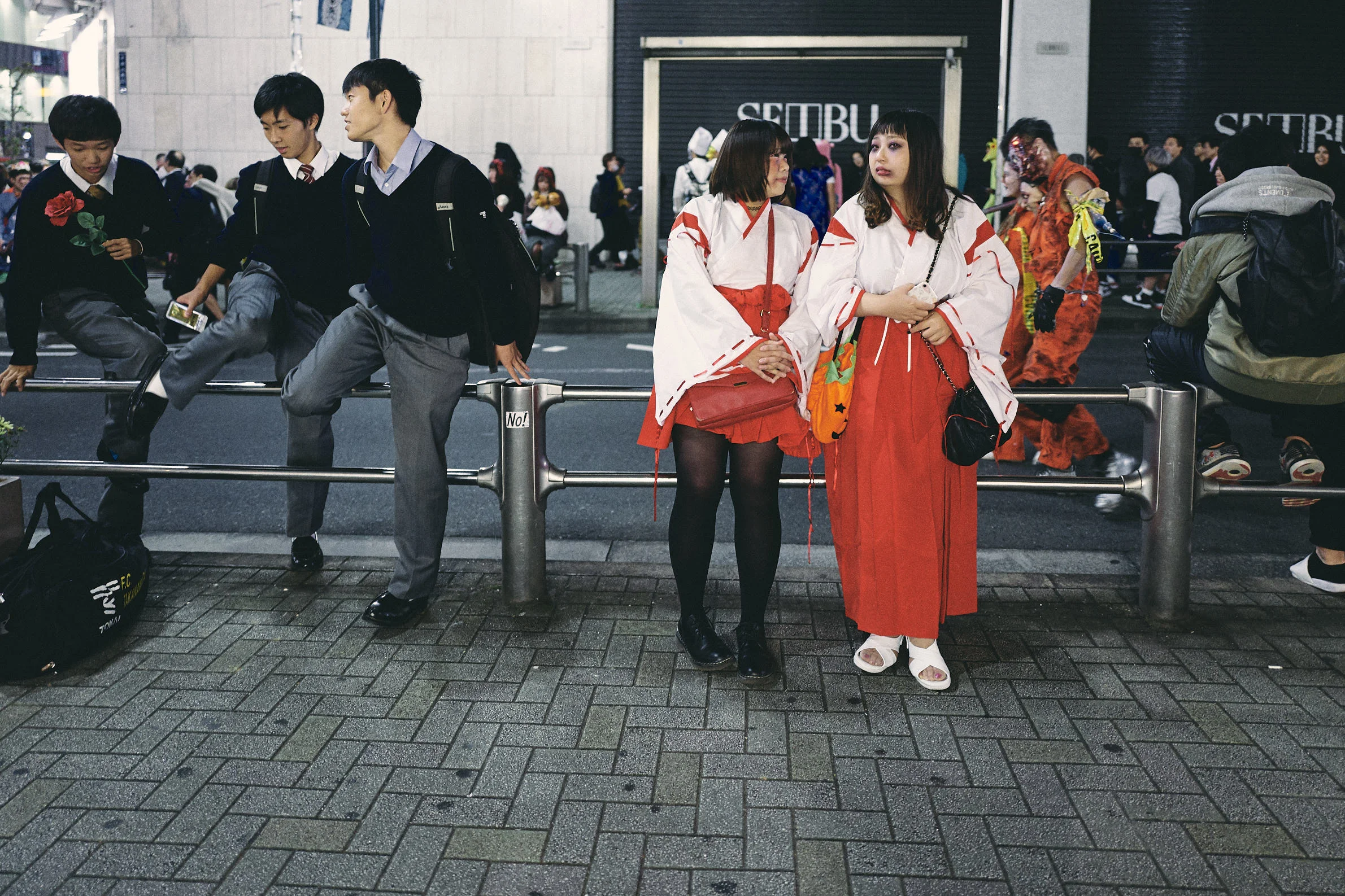 L1040082.jpg