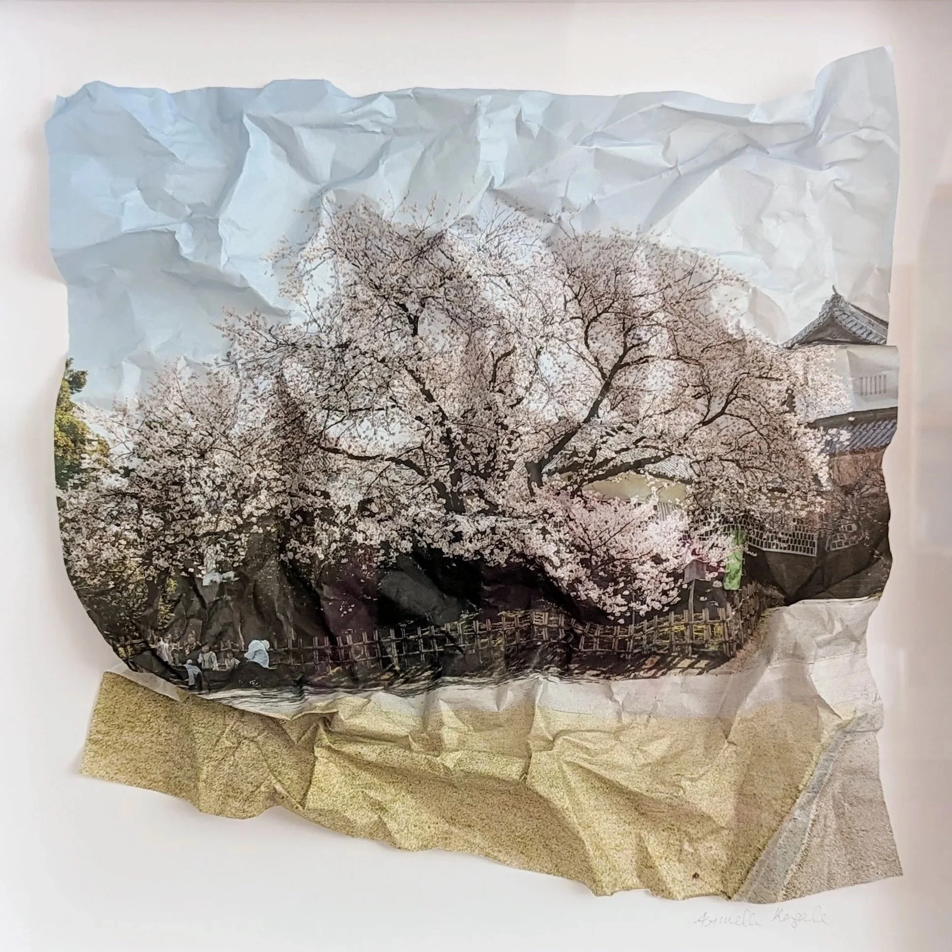 UNFOLDED TREES
