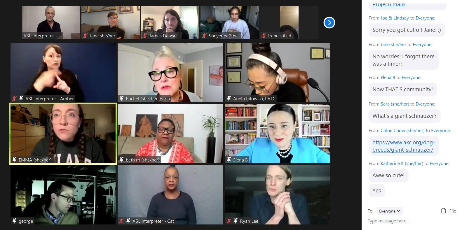 Full Screen with Chat.JPG