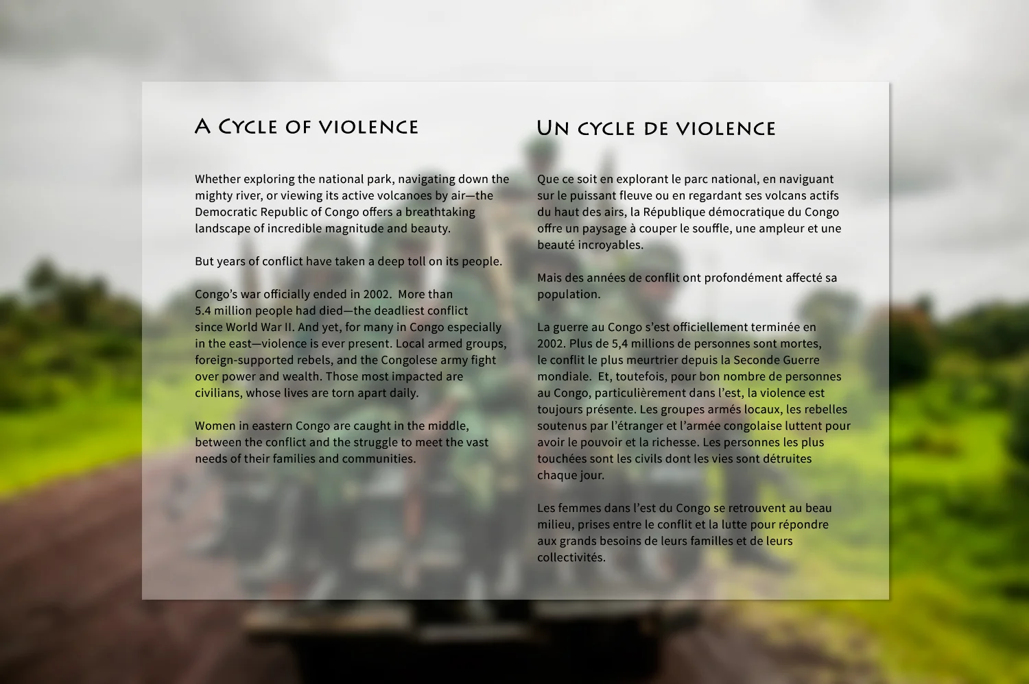 a-cycle-of-violence-textpanel2.jpg