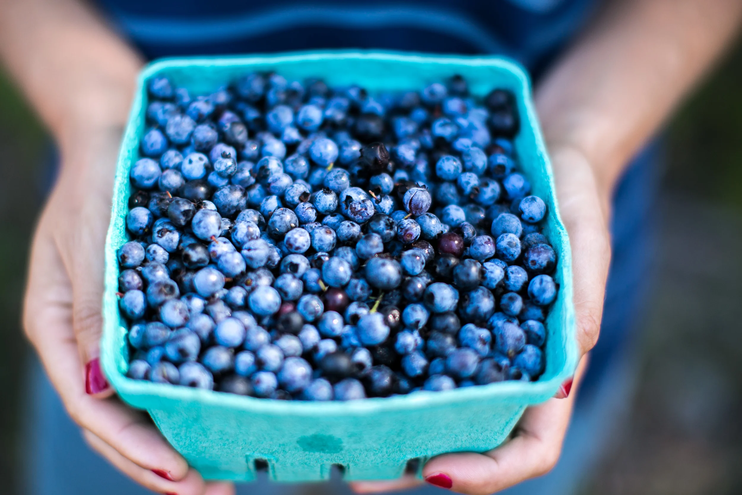 UnitedbyBlue_NovaScotia-5.JPG