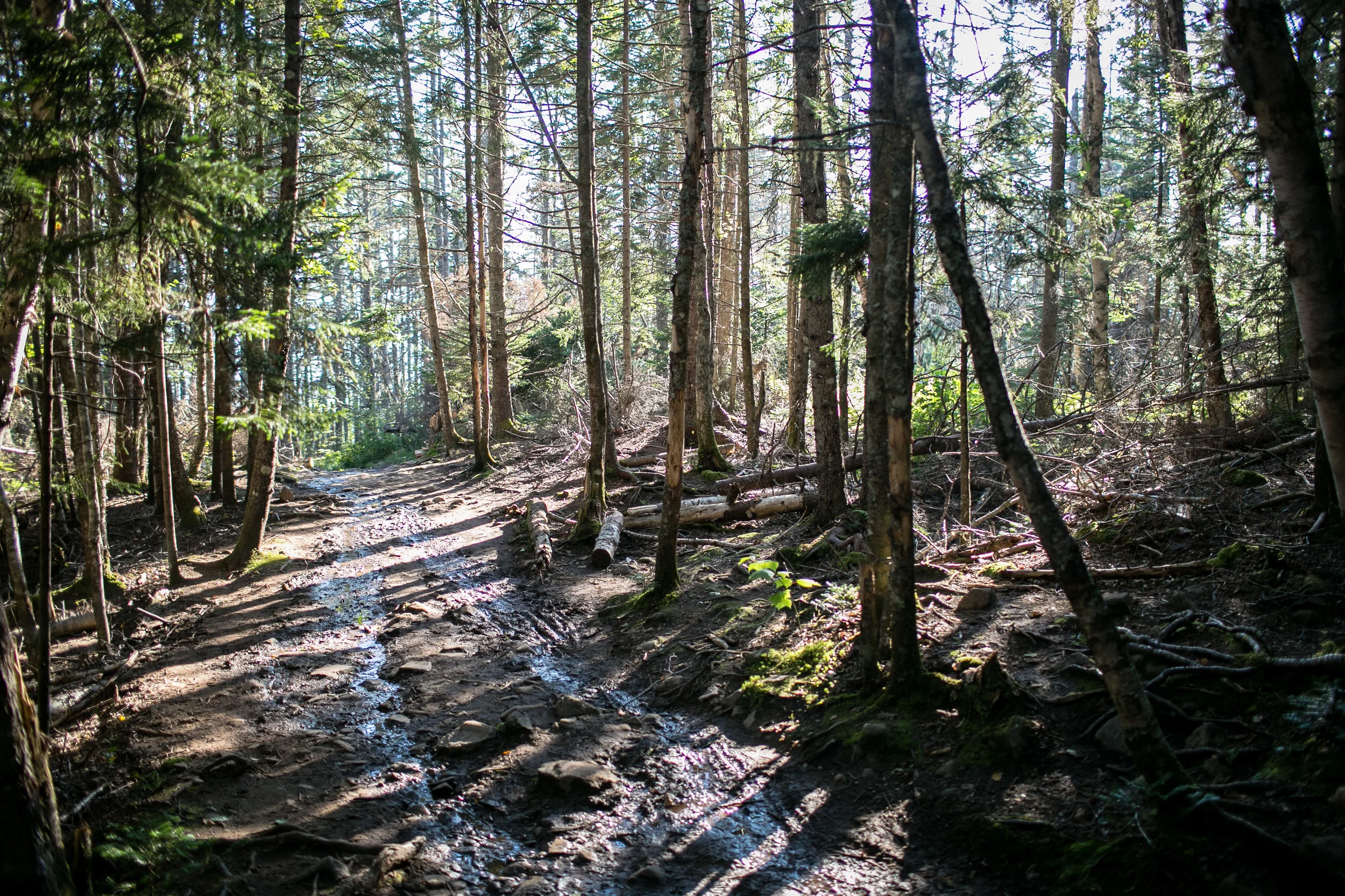 UnitedbyBlue_NovaScotia-34.JPG