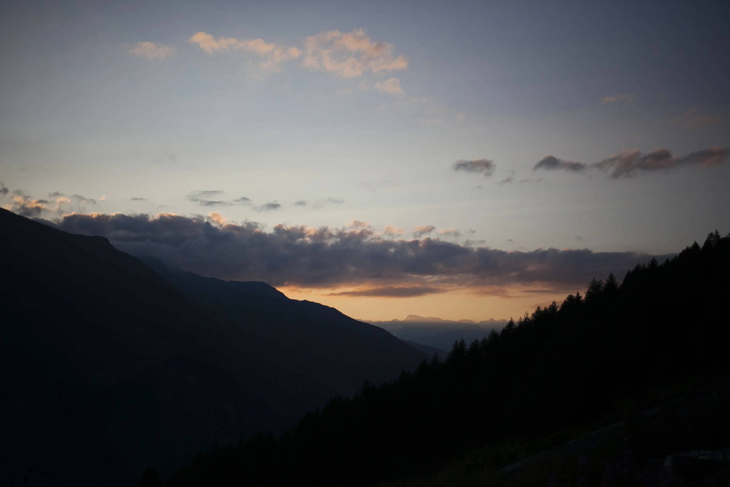 0121_IMG_2845.JPG