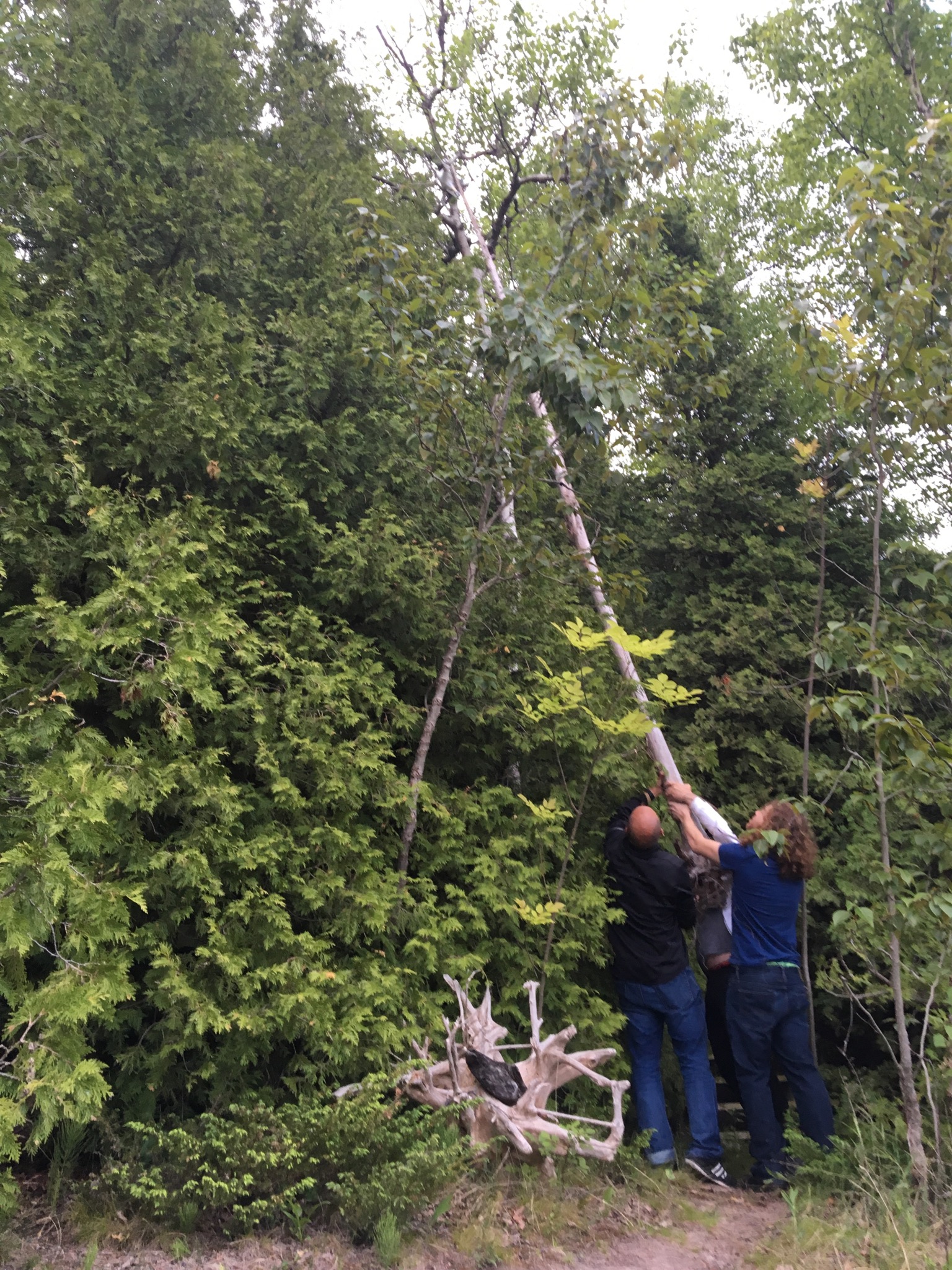 Drone rescue operation