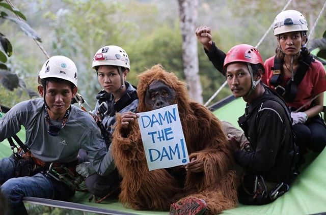 Today we and 12 cities across the world protest at the Bank of China, one of the primary investors of the proposed hydropower dam in the Batang Toru region in Indonesia (we launched an awareness campaign on this issue last year with the @Vhils interv