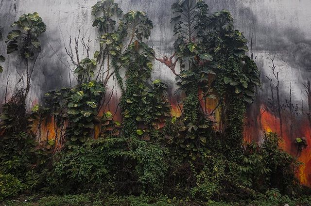 This time 2 years ago, the first art interventions for the #splashandburn project appeared across Indonesia. What started as an awareness campaign with a few individuals against the unsustainable production of palm oil in South East Asia; has since g