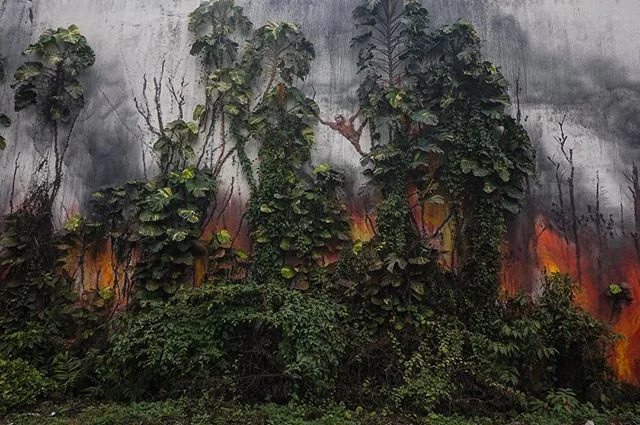 This time 2 years ago, the first art interventions for the #splashandburn project appeared across Indonesia. What started as an awareness campaign with a few individuals against the unsustainable production of palm oil in South East Asia; has since grown into a thriving network of creative professionals. Artists, writers, actors, anthropologists, film directors and conservationists all supporting a recalibration of consciousness
.
Incredible initiatives are appearing the world over, @extinctionrebellion hosted the epic &lsquo;die in&rsquo; at London&rsquo;s @natural_history_museum . @gretathunberg continues to inspire a new generation while schooling her elders with #schoolstrike4climate. This week, the UK Government @jeremycorbyn lead the world in declaring a Climate Emergency. We are at a tipping point, now is the time ✊🏻
.
Splash and Burn&rsquo;s next intervention will take place this summer. More to come