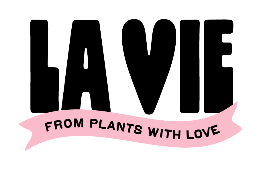 La-Vie-Logo-Pink-Banner.png