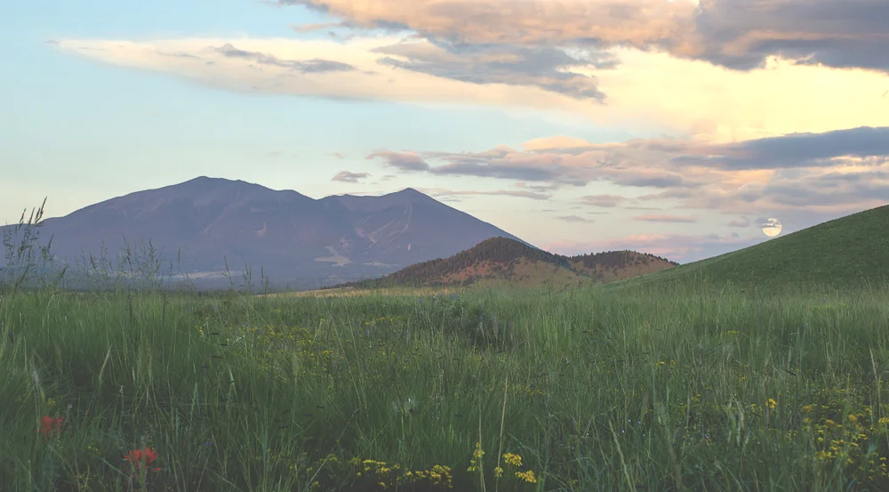 Government Prairie