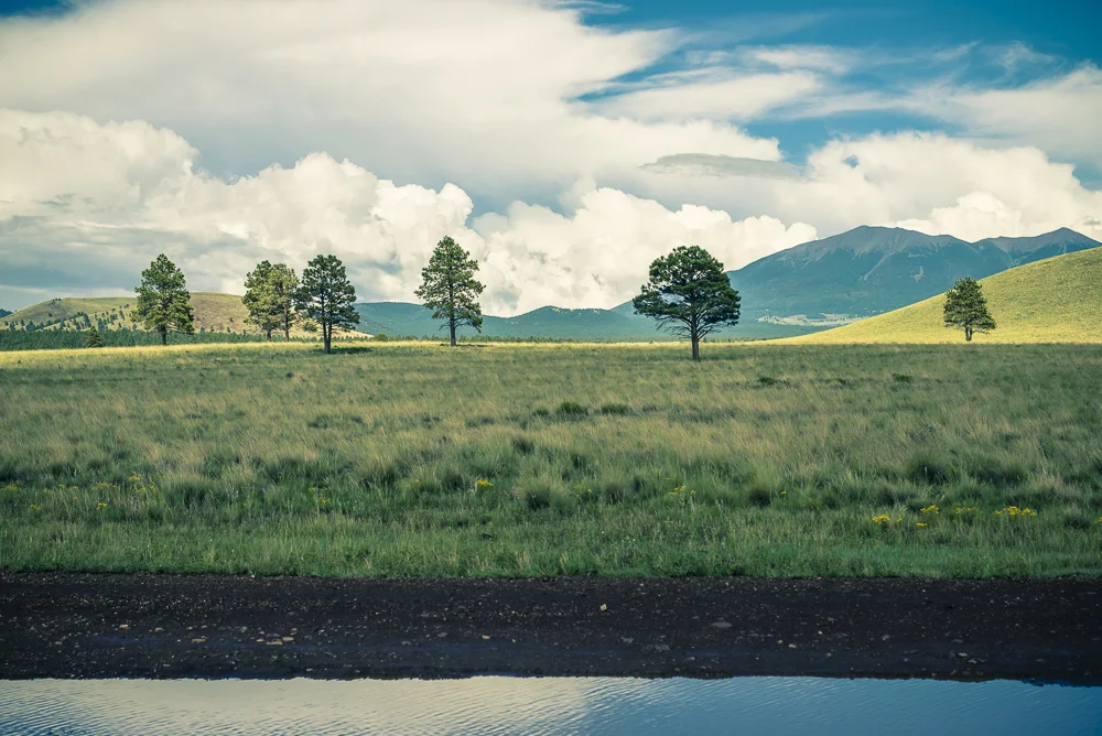 Government Prairie