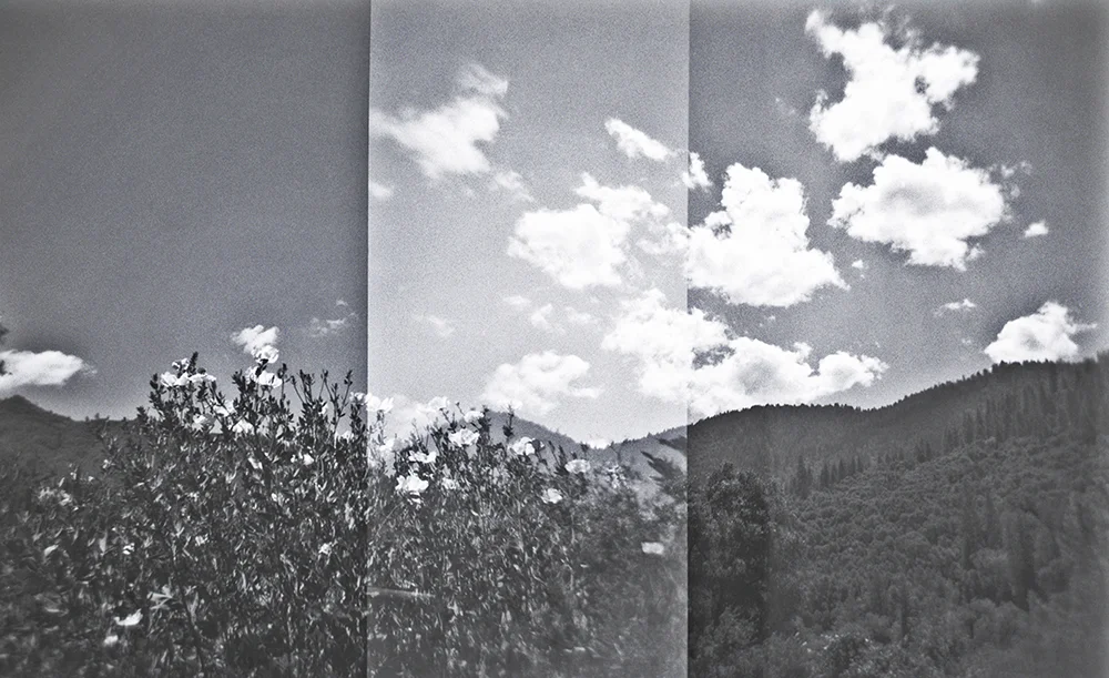 El Portal