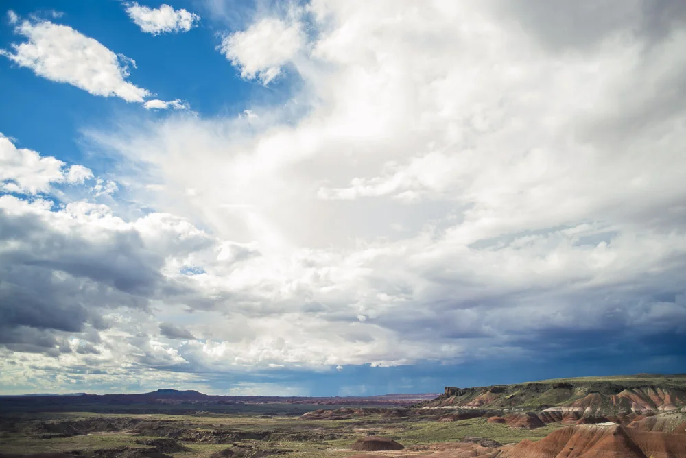 Petrified National Forest