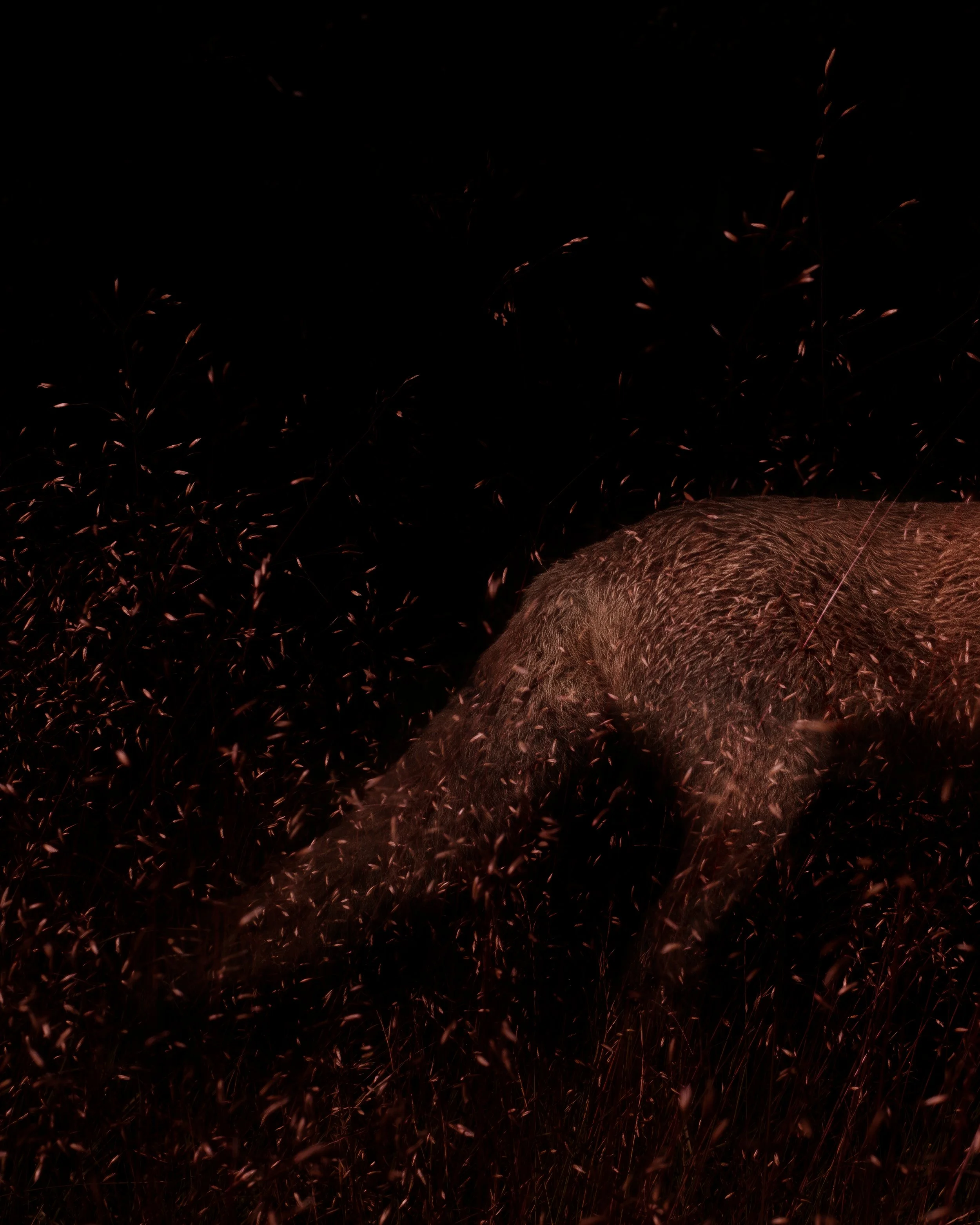 sacromonte_lodz4.jpg