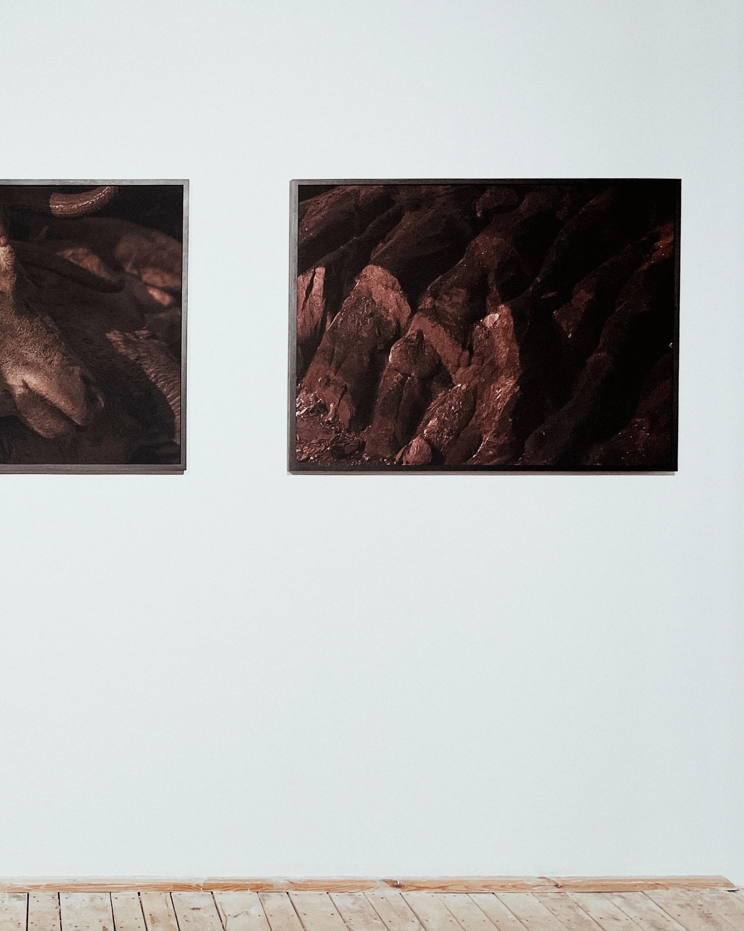 sacromonte_lodz3.jpg