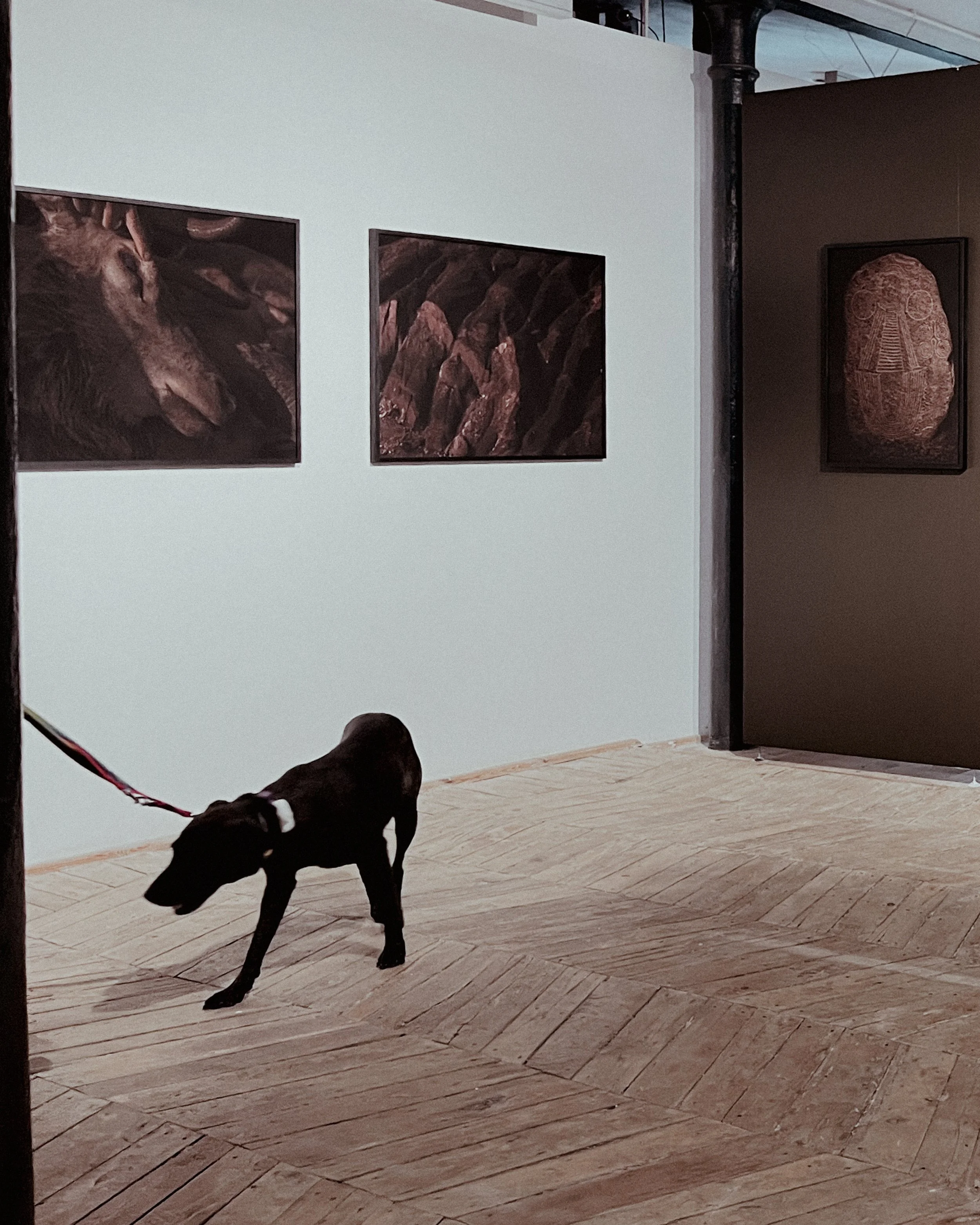 sacromonte_lodz7.jpg