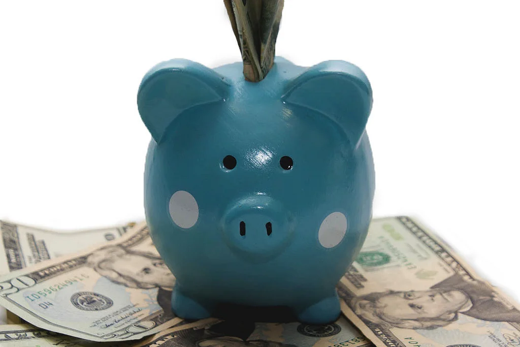 Piggy bank.jpg