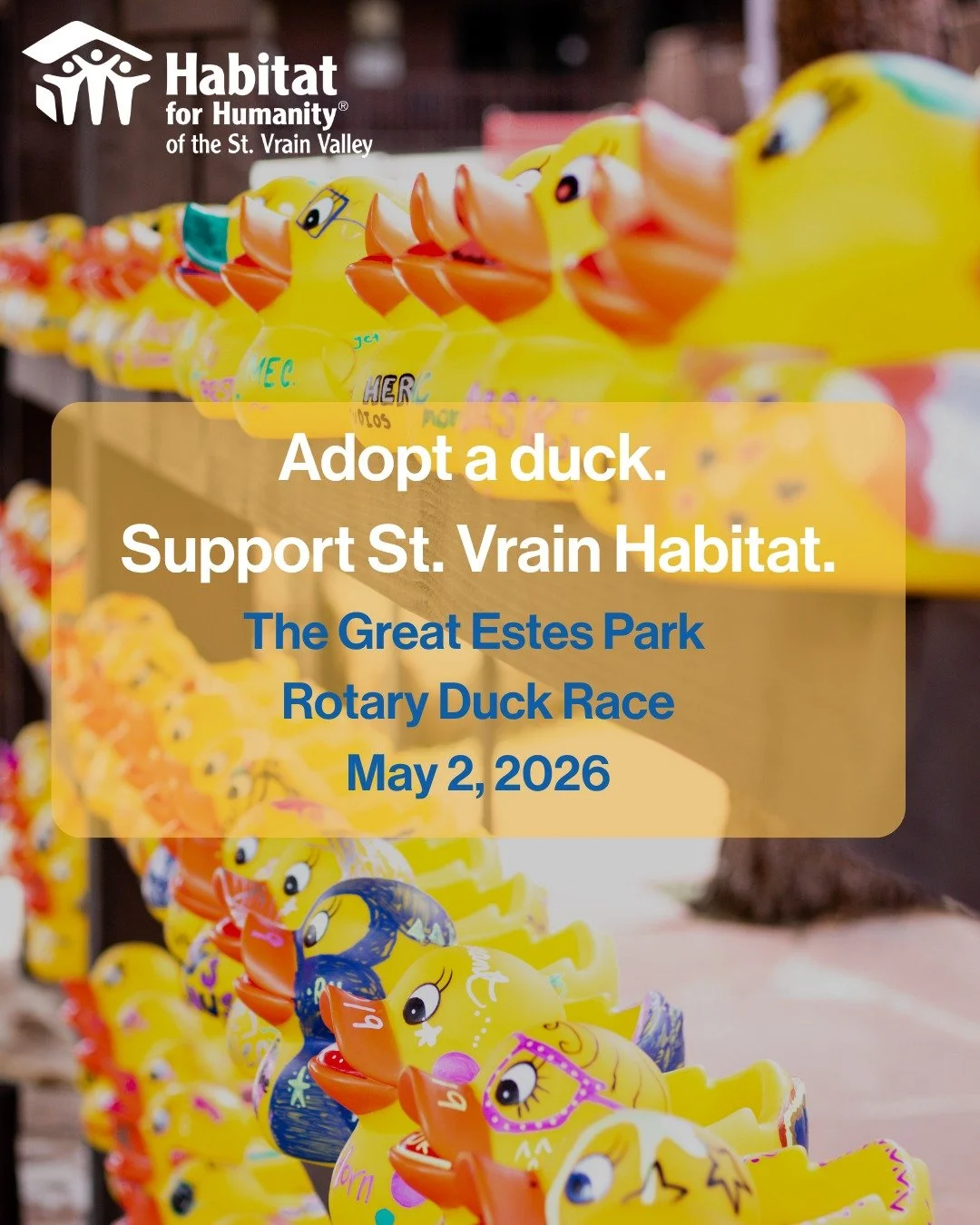 One duck = real impact 🏡

Every adoption helps support affordable homeownership right here in our community.

Choose St. Vrain Habitat when you adopt.
Link in bio.