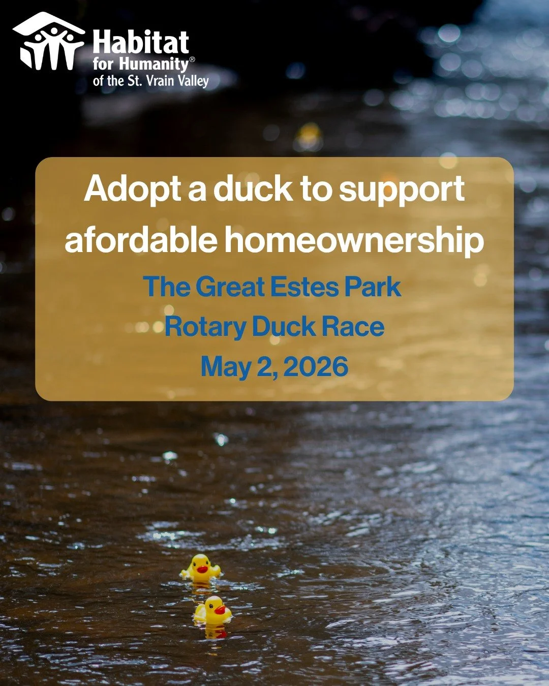 Pick your duck. Cheer it on. Win prizes 🐥

The Estes Park Duck Race is almost here&mdash;don&rsquo;t miss your chance to join in and support Habitat.

Adopt yours at the link in bio.