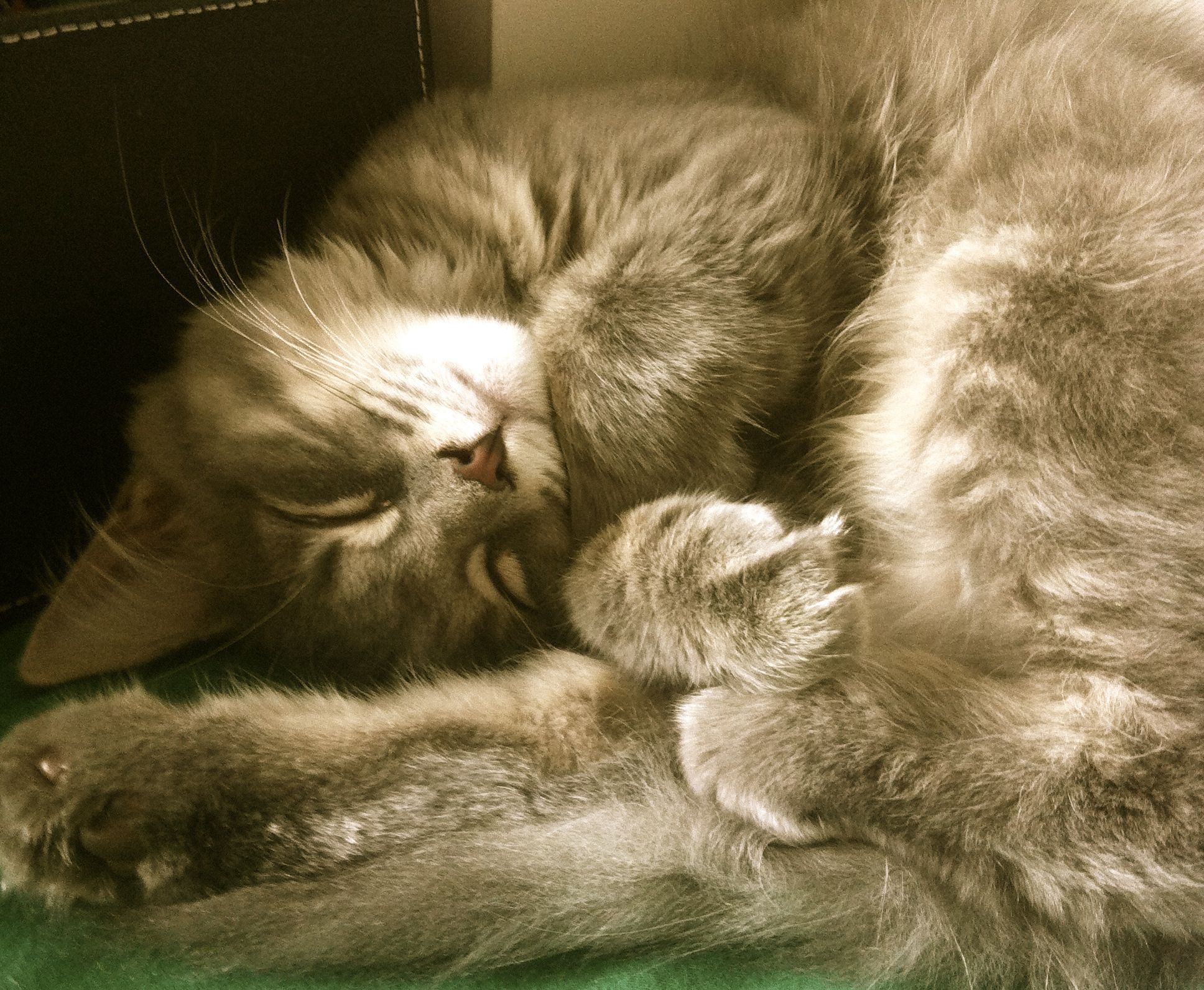 Don’t you wish you could sleep anywhere? Anytime?