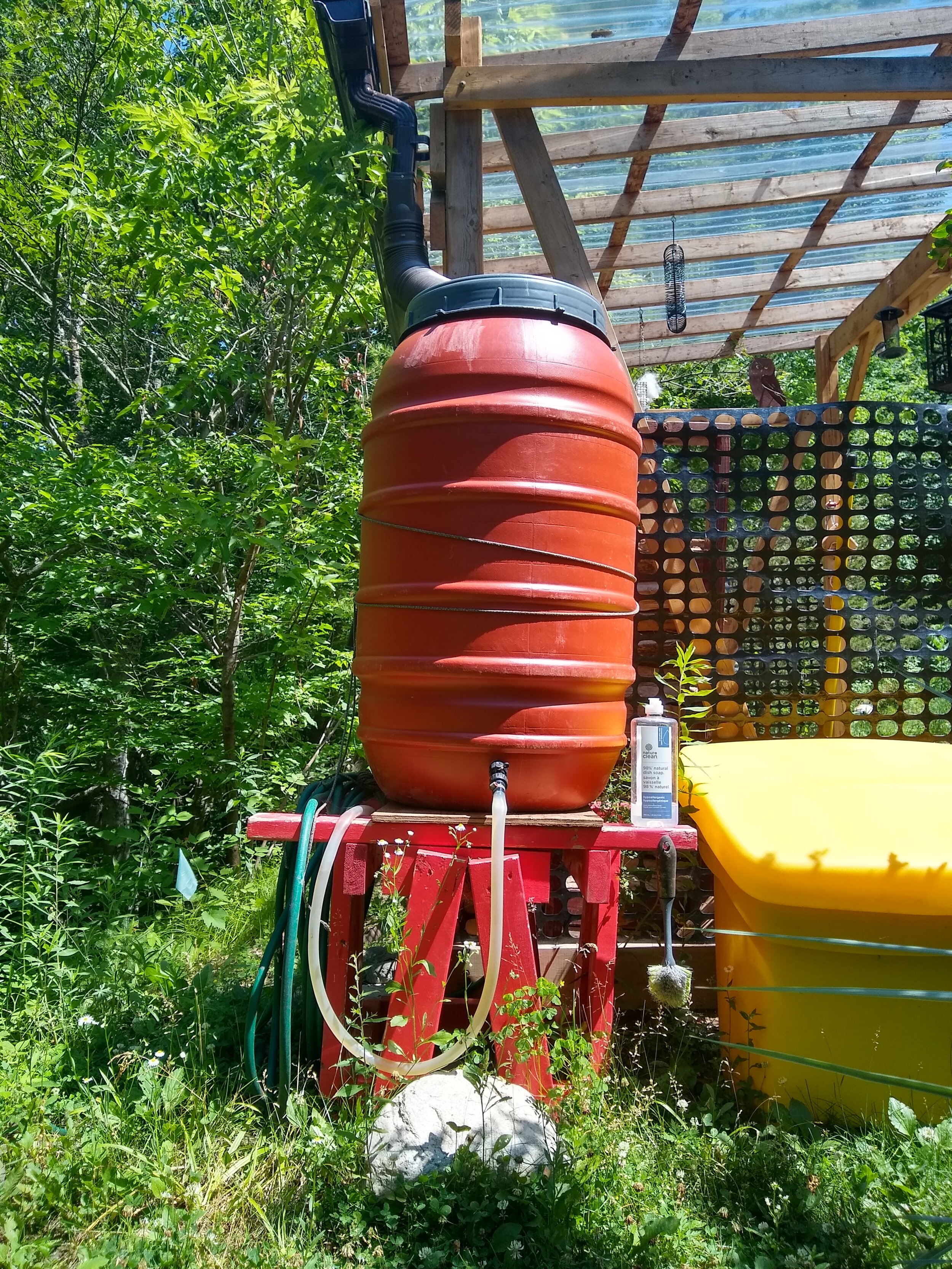 Just out of frame — the little dish we fill with rainwater on hot days for the birds, chipmunks and other woodland critters.