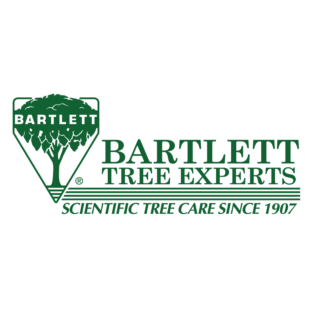 Bartlett