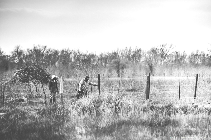 8406-blog mail shot 1.jpg