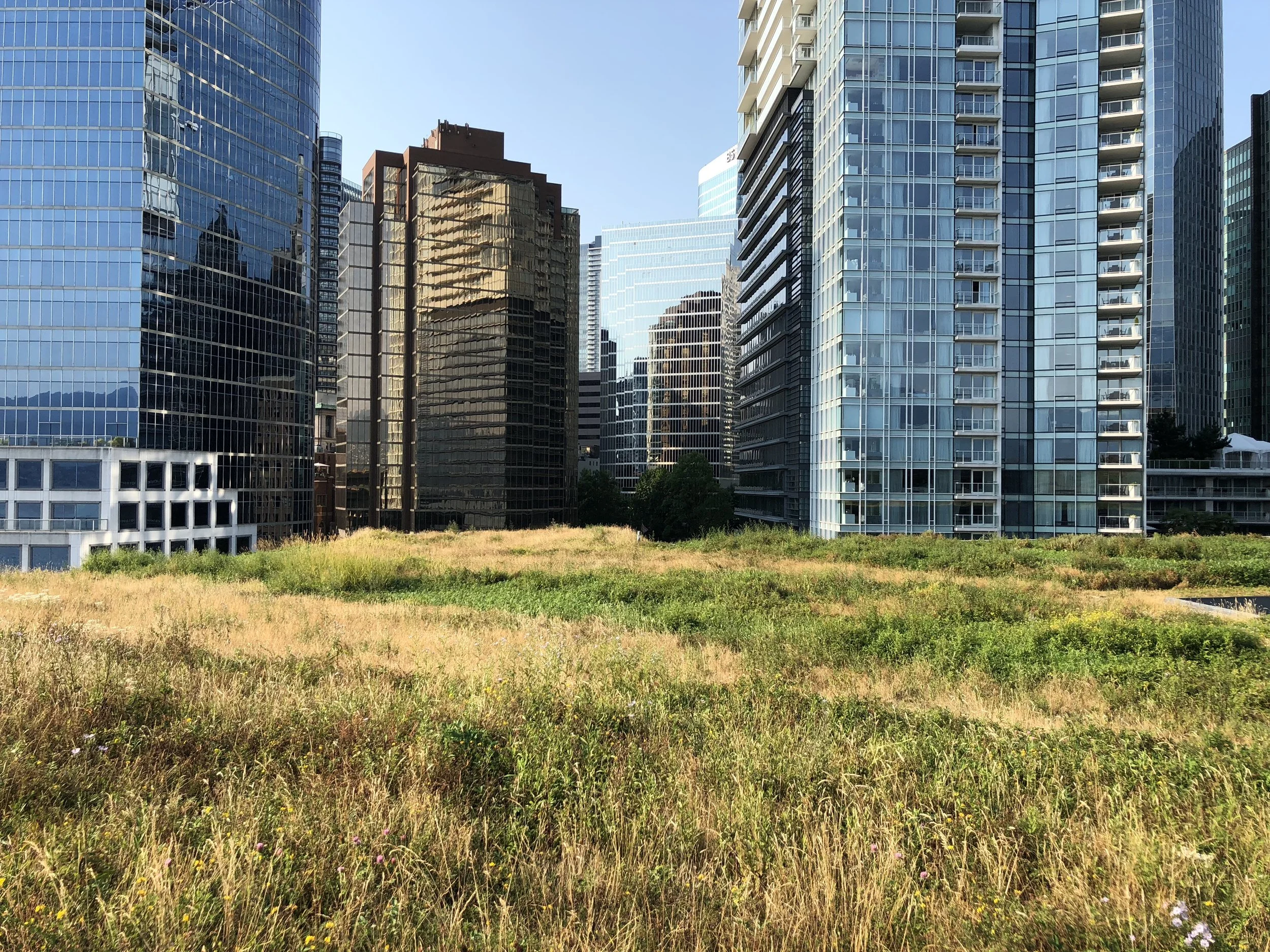 Vancouver Convention Center_Bruce Dvorak 2018.JPG