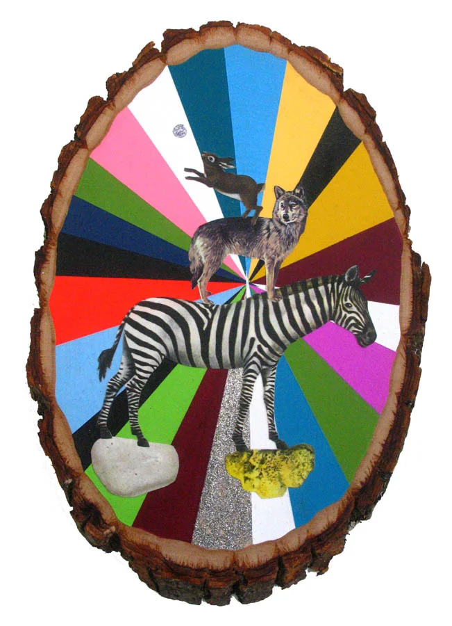 Zebra