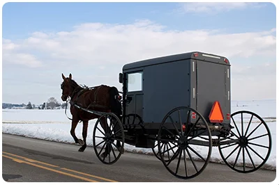 Volatility and Commodities (go together like a horse and carriage)