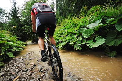 Should Ford Employees Contribute After-Tax Money to a 401k?