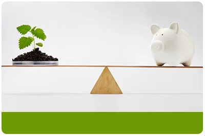 Green Money: Tracking the Socially Responsible Investing Trend