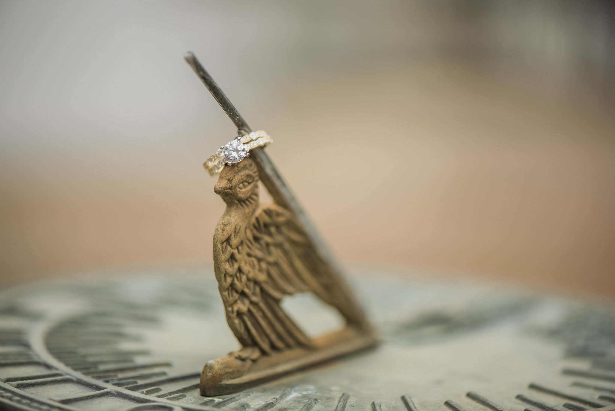 Styled Shoot 1-11-15-0030.jpg