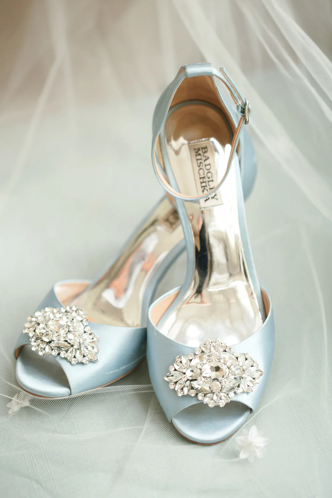Alisha Crossley Photography