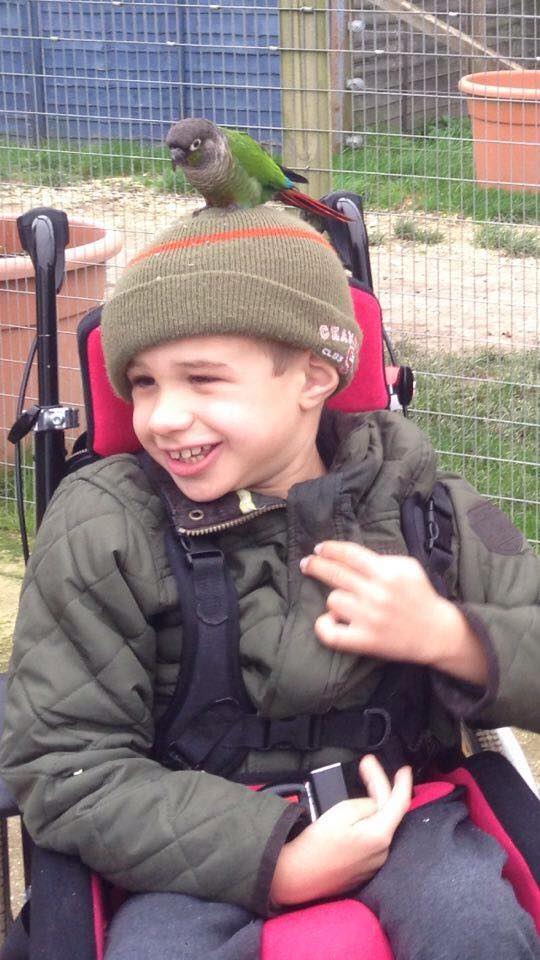 Sebastien 3.jpg